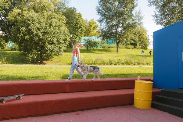 Retour sur les mythes et légendes des animaux de nuit